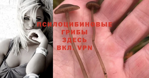 ПСИЛОЦИБИНОВЫЕ ГРИБЫ Козельск